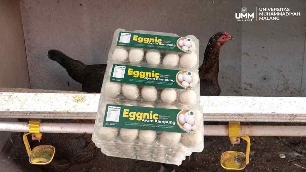 UMM Luncurkan Direktorat Saintek, Dorong Hilirisasi Riset Multidisiplin