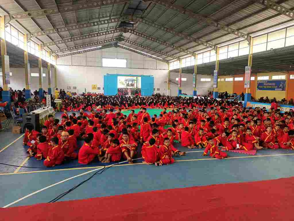 eLKISI CUP #1, Momentum Kebangkitan Tapak Suci dan Penetapan Hari Tapak Suci