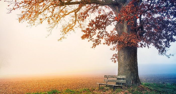 Apakah Kita Ini Setan?