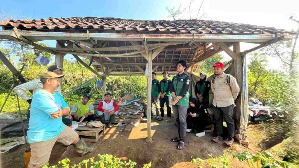 Atasi Hama Jeruk, Mahasiswa UMM Kembangkan Teknologi Augmentarium 