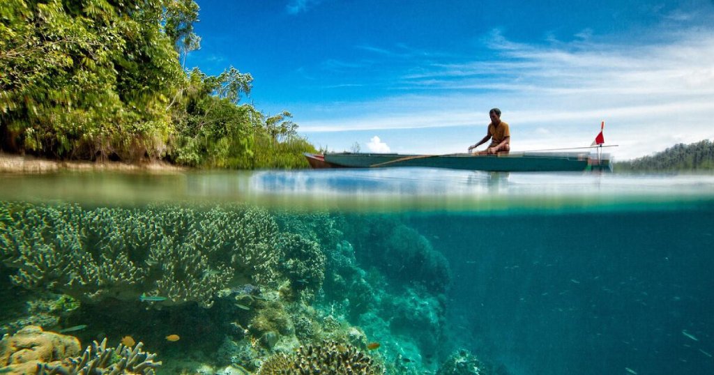 Cinta Tanah Air dalam Timbangan Fitrah dan Iman