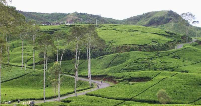 Menjaga Syukur Jadi Perjuangan yang Berat