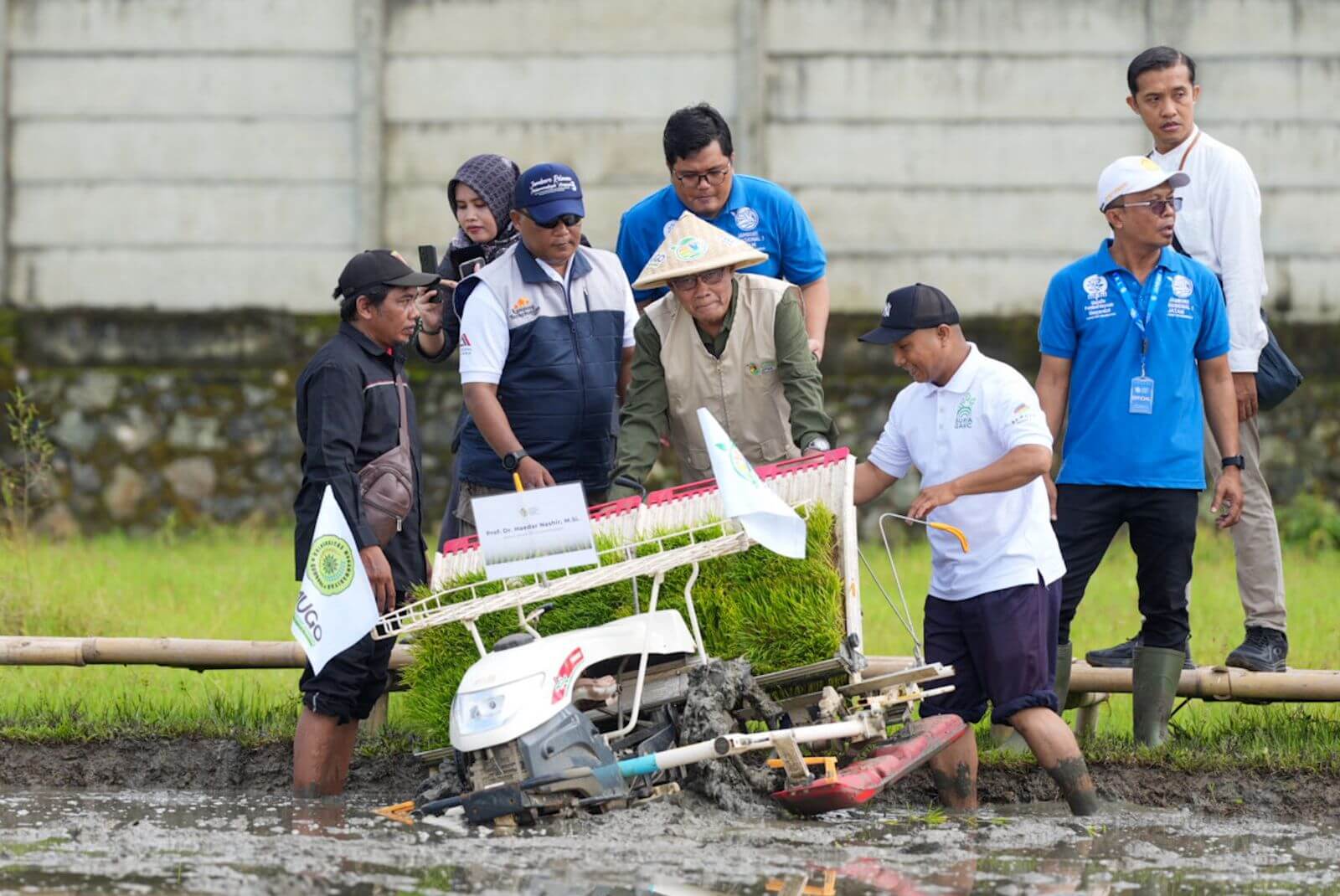 Padi Mentari: Simbol Kemandirian dan Harapan Petani Muhammadiyah