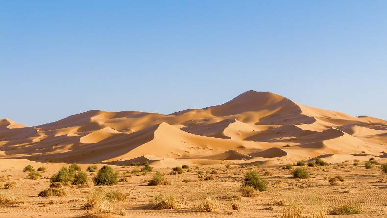 Kasih Sayang Allah untuk Bani Israil: Dua Belas Mata Air yang Menyembur dari Batu Keras