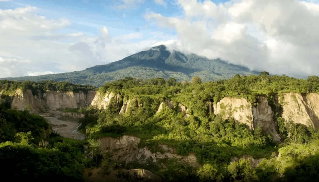 Memberi Manfaat dalam Hal Kebaikan