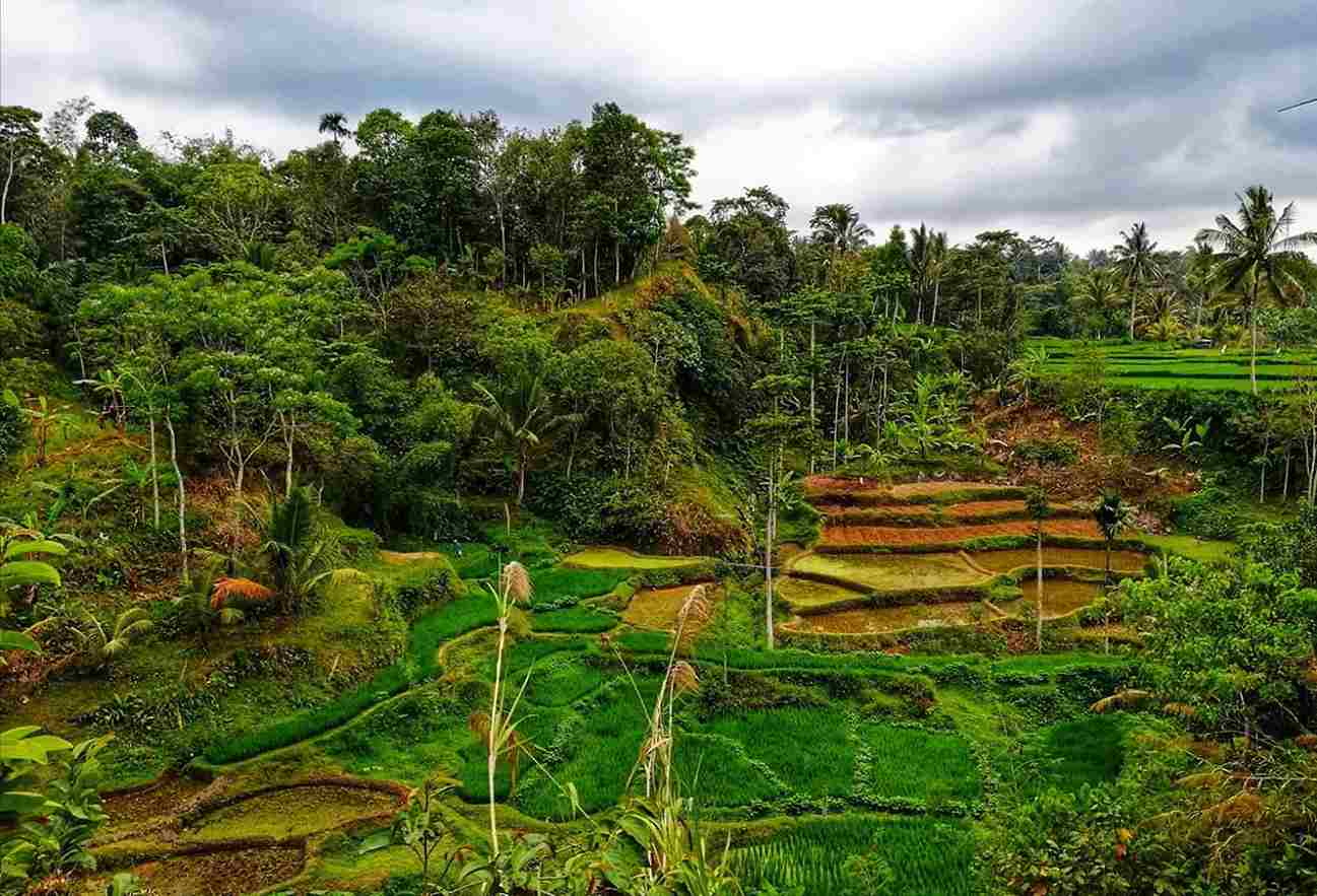 Mengubah Banyak Keinginan Menjadi Kaya Hati