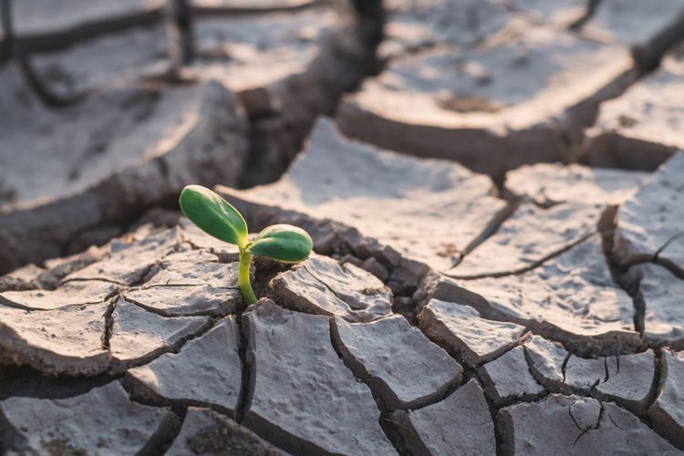 Fenomena Kebesaran Allah dan Gagalnya Akal Mengenal Tuhan