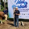 Pemberdayaan Akar Rumput, MPM PP Muhammadiyah Salurkan Hewan Kurban hingga ke Papua