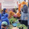 Milad ke-113 Muhammadiyah, PonpesMu Manafi’ul ‘Ulum Boyolali Tebar 1000 Bibit Cabai