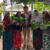 Inovasi Mahasiswa UMM: Manfaatkan Hydroponic Serenity untuk Turunkan Stres Lansia