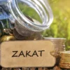 Titik Pisah dan Titik Temu antara Zakat dan Pajak