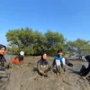 Mahasiswa Umsida Gelar Aksi Konservasi Mangrove di Pesisir Sidoarjo