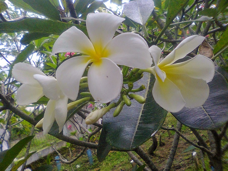 Cermin Abadi: Ingat Mati, Jauhi Maksiat
