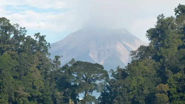 Indonesia: Anugerah yang Terampas