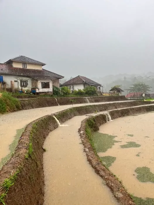 Hujan: Tetesan Air Pembawa Keberkahan dan Rahmat Ilahi