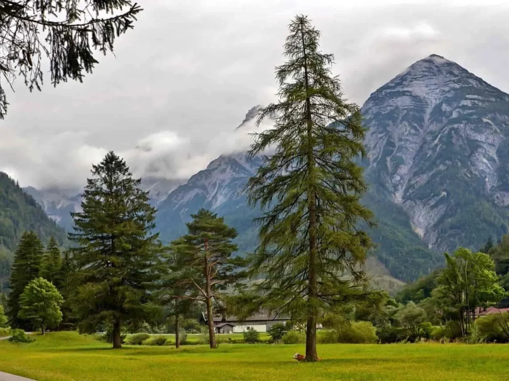 Paparan Kekuasaan Allah, Berbuah Penghinaan kepada-Nya