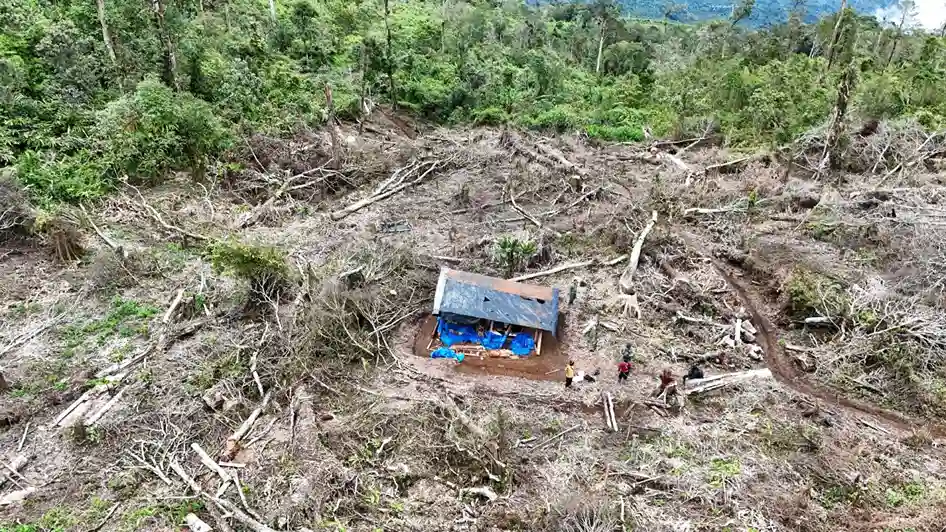 Amanah Ideologis Muhammadiyah dalam Menjaga Lingkungan