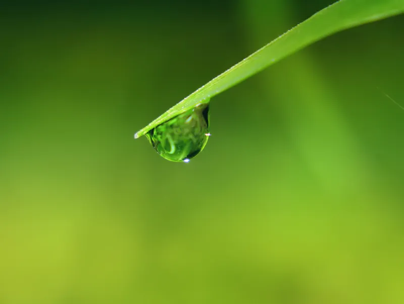 Beramal Saat Tak Ada yang Melihat