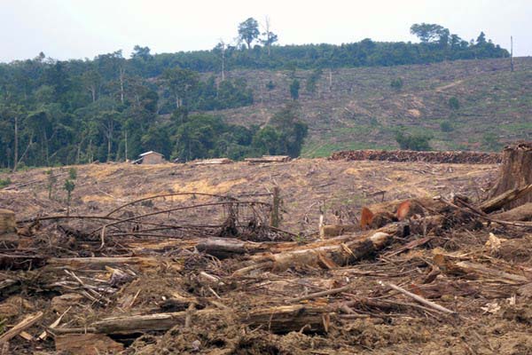 Menghilangkan Eksistensi Tuhan dan Kerusakan Alam