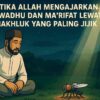 Ketika Allah Mengajarkan Tawadu dan Makrifat Lewat Seekor Lalat
