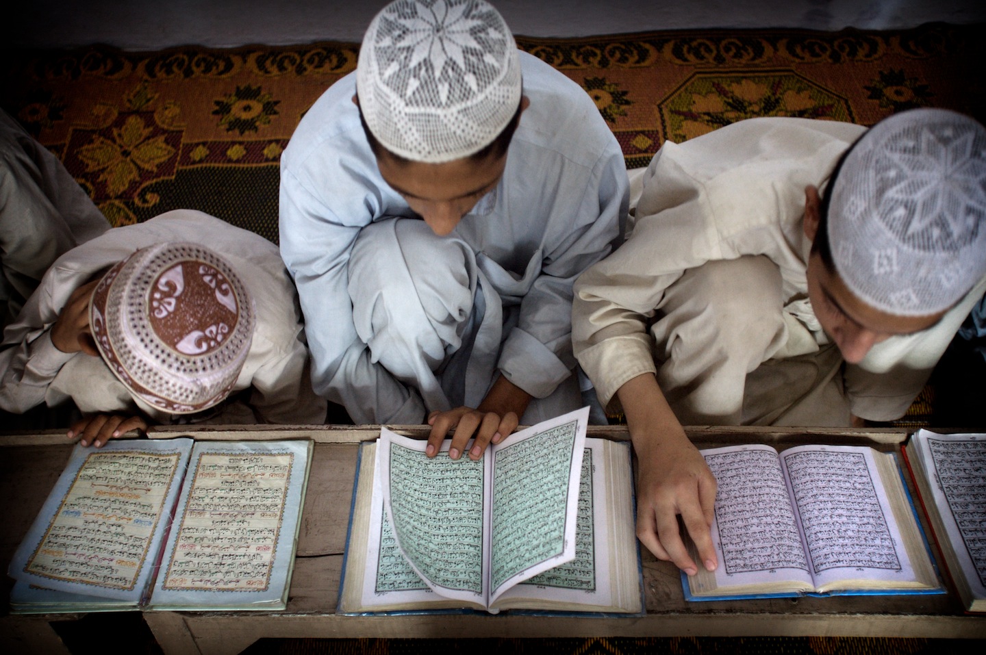 Menjadi Ulul Albāb: Ketika Belajar Adalah Amanah, Bukan Gelar