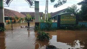 Beberapa titik di kabupaten Pati masih tergenang banjir. (ist) 