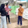 Olah Sampah Area Kampus, Lazismu Umsida Produksi Pupuk Organik