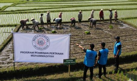 Bidang pertanian menjadi salah satu binaan Muhammadiyah. (ai generate)