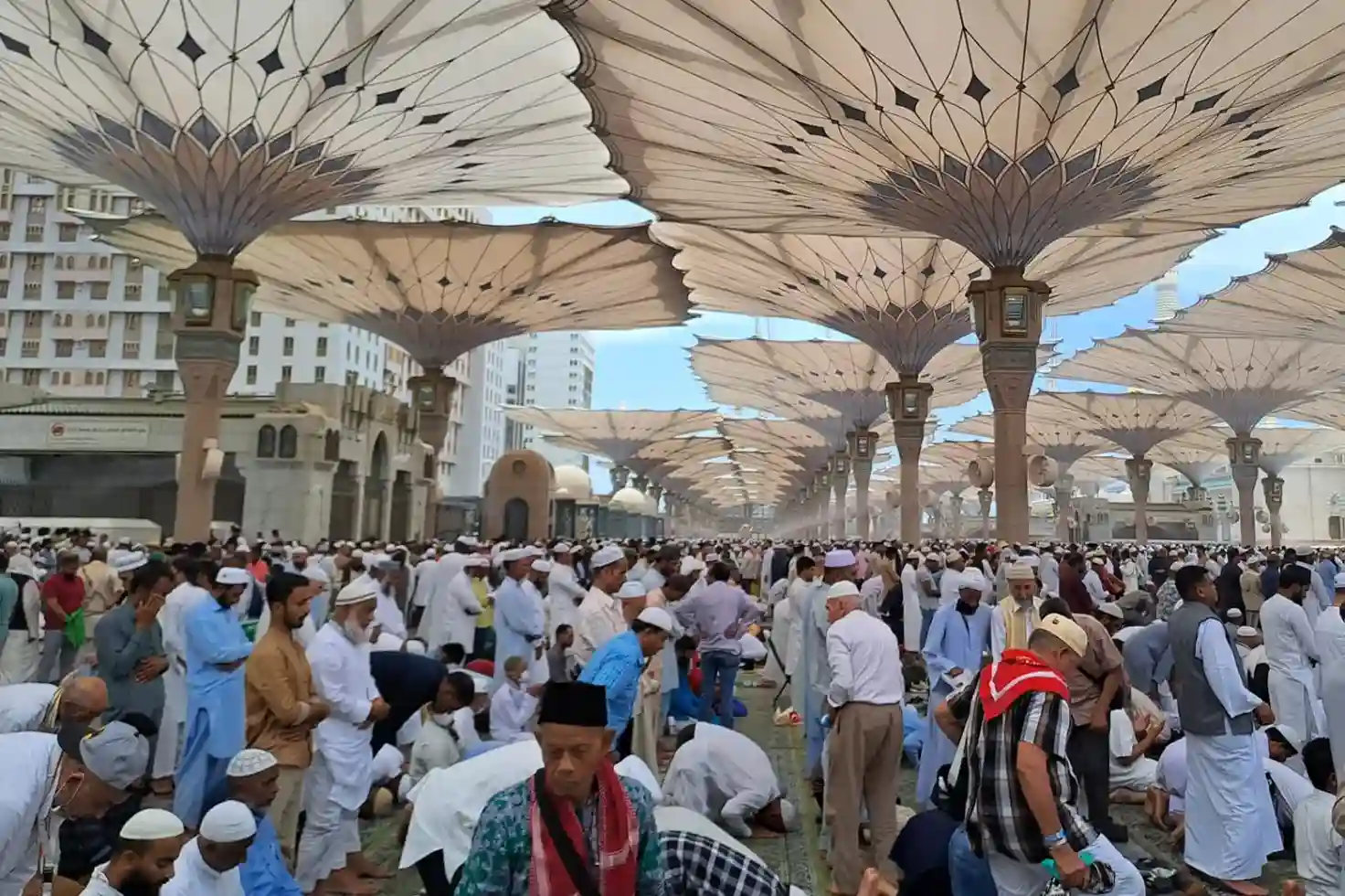 Jemaah umrah asal Indonesia yang mengalami bus terbakar, sudah sampai di Madinah dengan selamat. Tetapi semua barang bawan mereka habis terbakar. (ist)