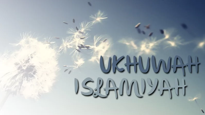 Menjaga Kesejukan Umat: Memahami Fatwa, Menahan Kata “Haram”