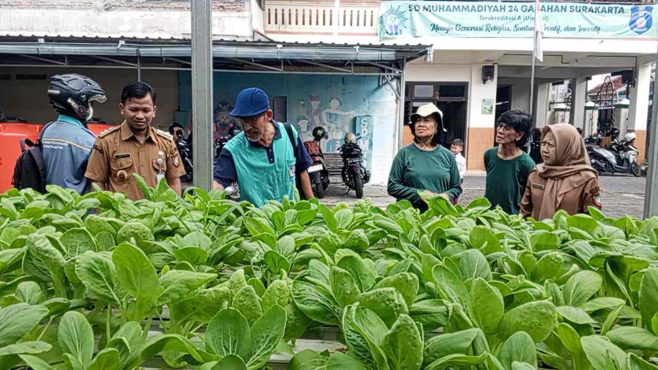 Lurah Gajahan Solo Panen Pakcoy Hidroponik, Dorong Sekolah Produktif