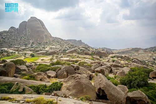Cagar Alam Pegunungan Shada Al-Ala atau Abu Shada'. (Foto: SPA)