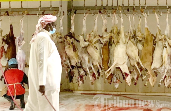 Menunaikan Dam haji sebaiknya dilakukan di tanah air untuk kemaslahatan warga. (ist)