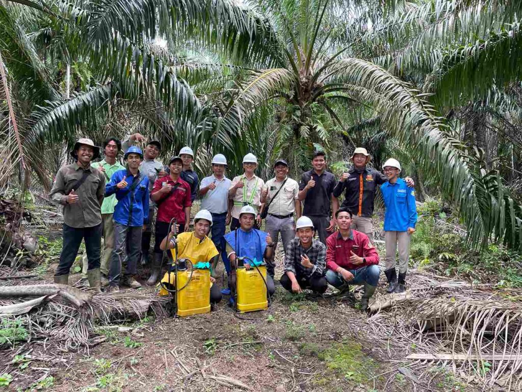  Berkat CoE Kelapa Sawit, Mahasiswa UMM Bawa Portofolio Eksklusif Masuk Dunia Industri