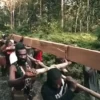Pesta Babi dan Krisis Cara Manusia Membaca Tanah