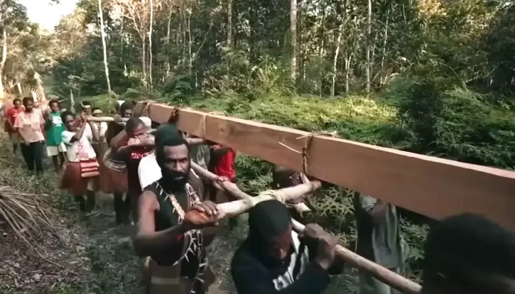 Pesta Babi dan Krisis Cara Manusia Membaca Tanah