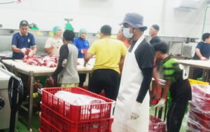 Proses pemilahan daging yang berlangsung secara profesional. (nun)