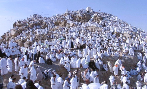 ilustrasi: Jamaah haji saat wukuf di Padang Arafah, Makkah, Arab Saudi.
