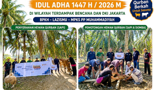 Penyerahan dan penyembelihan hewan kurban di Aceh Tamiang. (ist)