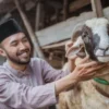 Ketika Kurban Tidak Menyucikan Hati: Renungan dari Ancaman Qābil kepada Hābil