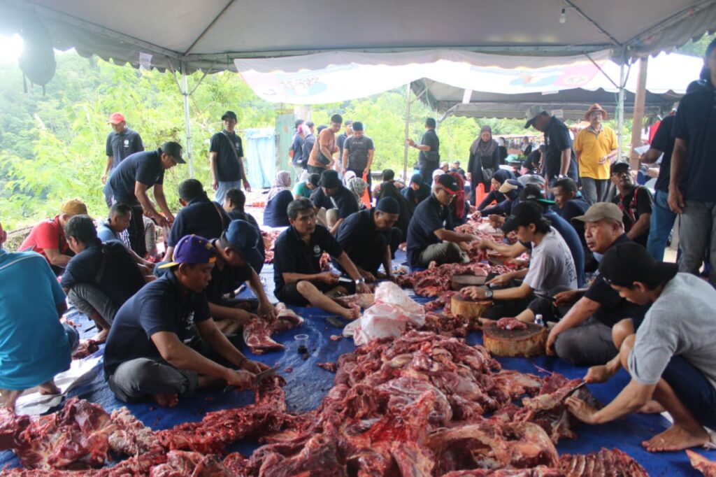 Antusiasme Kurban PCIM Malaysia Meningkat, Dubes RI Berkurban Sapi Jumbo