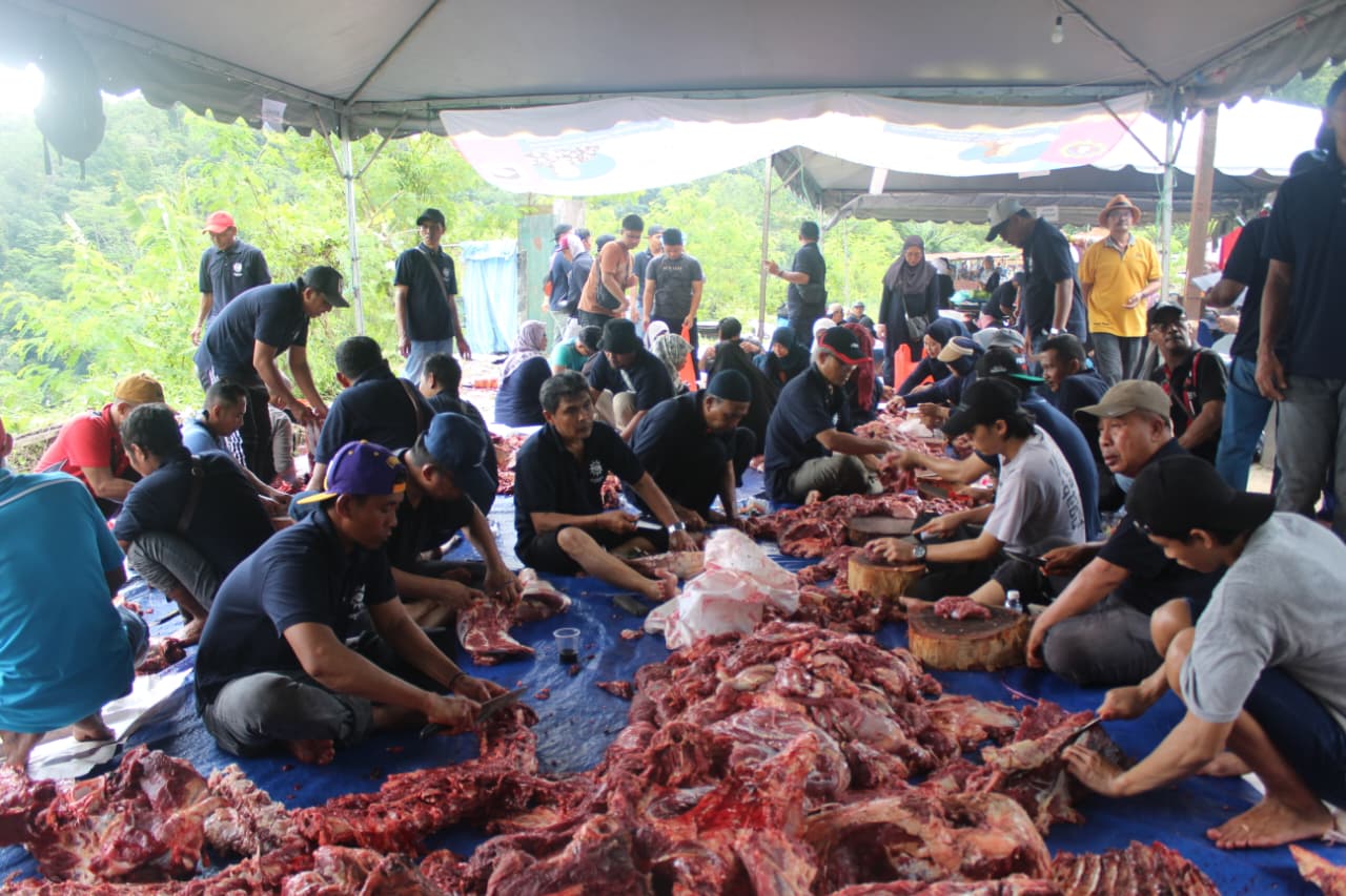 Antusiasme Kurban PCIM Malaysia Meningkat, Dubes RI Berkurban Sapi Jumbo