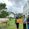 Lazismu Kaltim Terima Bantuan Sapi Kurban dari Maybank Syariah Samarinda