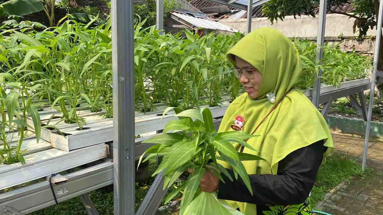 Pengawas Pendidikan Apresiasi Hidroponik SDM 24 Surakarta