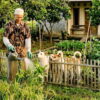 Memelihara Anjing di Rumah