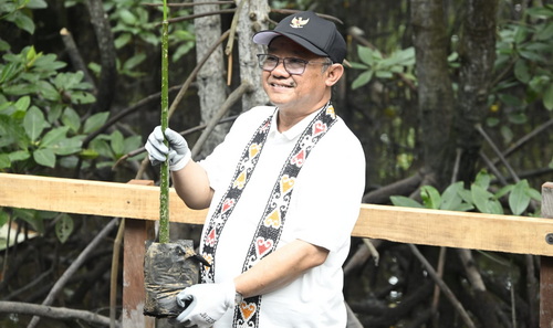 Mendikdasmen Abdul Mu'ti melakukan penanaman mangrove di Hari Lingkungan Hidup sedunia. (ist)