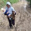 Yang Tersisa di Ruang Sidang MK