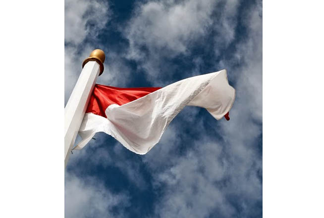 Calon Presiden Ideal untuk Menghadapai Tantangan Masa Depan Indonesia