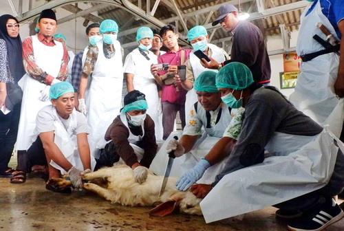 Salah satu pelatihan Juleha untuk mendapatkan sertifikasi. (ist)