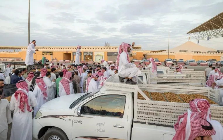 Berbagai jenis kurma ditawarkan dalam festival kurma di Arab Saudi. (SPA)